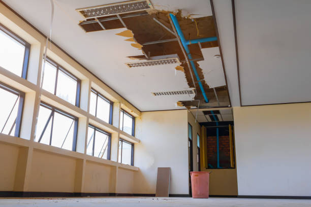 Best Flood restoration services  in North Miami, FL