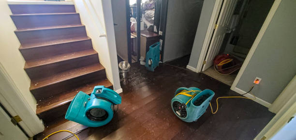 Best Commercial water damage restoration  in North Miami, FL