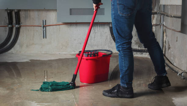 Best Water damage restoration near me  in North Miami, FL