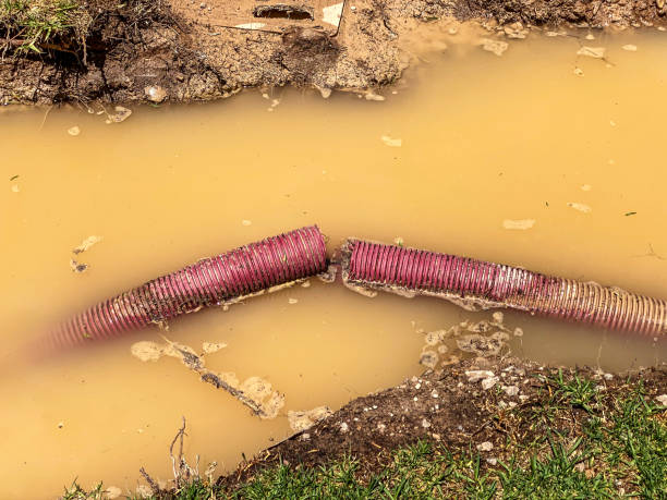 Best Local water damage restoration  in North Miami, FL