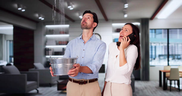Best Water damage cleanup near me  in North Miami, FL